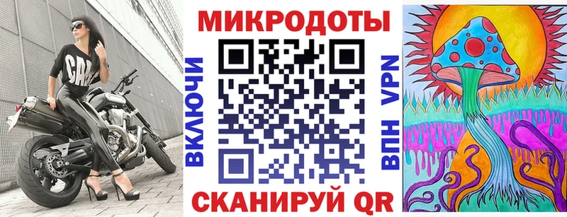 Галлюциногенные грибы Psilocybe  Михайлов 